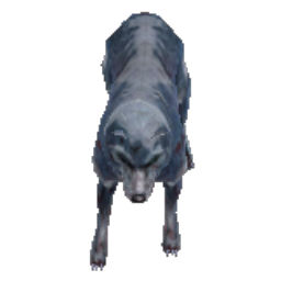 Mad Wolf